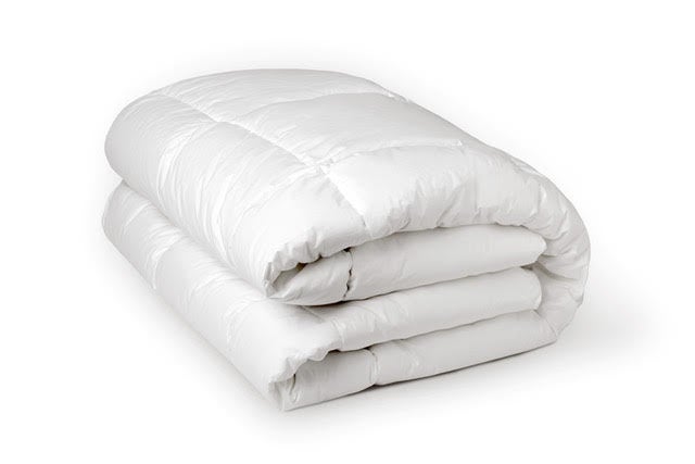 BOTANY Couettes & Oreillers Blanc Coton Dimensions
