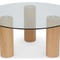 ANDREA Coffee Tables Natural Glass / Wood