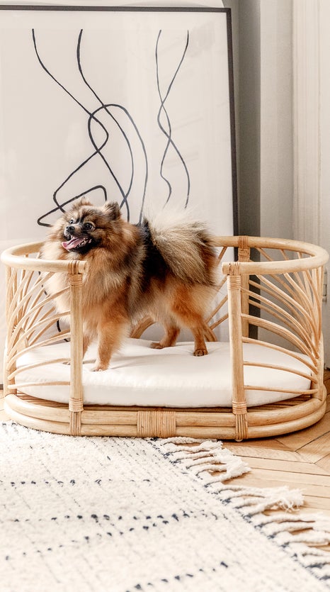 Inspiration Milo Accessoires für Haustiere Weiß / Beige Rattan / Baumwolle