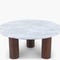 ANDREA Coffee Tables Brown Glass / Wood