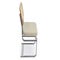 UBERTO Esszimmerstühle Taupe / Holz / Silber Samt / Holz / Metall