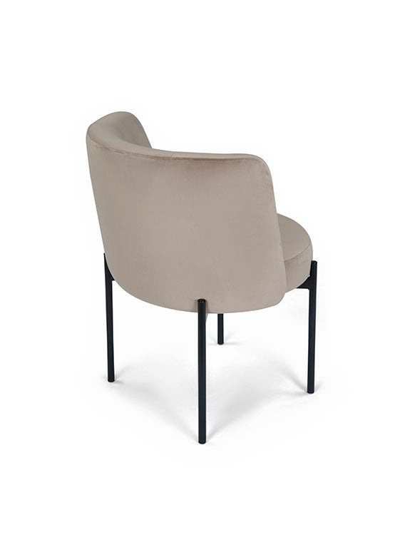 Lifestyle RAY Dining chairs