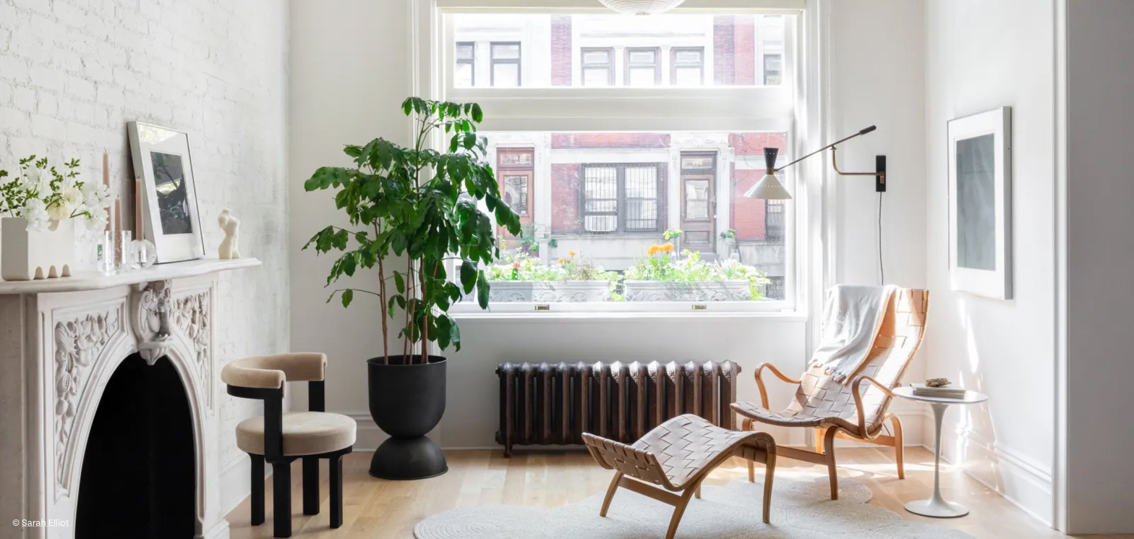 Consigli Decorare con le piante d'appartamento per un inverno verde Il nostro consiglio